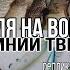 Рыбалка Ловля на воблеры Зимний твичинг Ловим щуку на японские и китайские воблеры Bearking