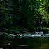 Forest River Nature Sounds Gentle Stream With Birdsong 4K Relaxing Nature Ambience For Sleep