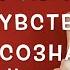 100 правды Его мысли Чувства Подсознание Действия Расклад Таро Гадание на Таро он лайн