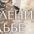 Зульфия Алмаз Юси Адажио Сальма Кубэлэк