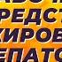 Единственное рабочее средство от жирового гепатоза