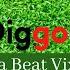 Diggoo Insta Beat Vixens