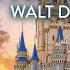 LIVE An Evening At Disney S Magic Kingdom Walt Disney World Live Stream