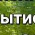 Библия Аудиокнига Перевод Новый Мир