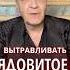 Прошлое это хвост невзоров