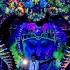 Introspect Live Act Peuali 2025