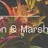 Marsh Feat Leo Wood My Stripes Braxton Marsh Remix