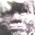 Todd Standing S Real Bigfoot Footage Bigfoot Bigfootvideo Sasquatch Toddstanding