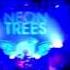 Moving In The Dark Neon Trees