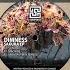 Dimness Sakura TMSV Remix Deep Dubstep
