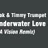 Alok Timmy Trumpet Underwater Love LA Vision Remix