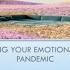 Keep Calm Supporting Your Emotional Health During The Pandemic