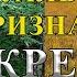 Глаза и карта вот что нужно для поиска монет Секреты кладоискателей