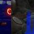 Silent Circle Jump In My Car AI Music AI Cover C C Catch