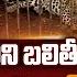 Leopard Trapped In Cage In Tirumala Tirumala Leopard And Girl Incident TTD SakshiTV