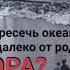 1964 лужи измайлово мама ругаться двор океан друзья москва кадр далеко жизнь счастье