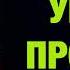 Уроки провалв Пастор Андрей Шаповалов