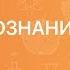 ОБЩЕСТВОЗНАНИЕ 8 класс Налоги