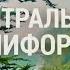 Центральная КАЛИФОРНИЯ от виноделов до морских слонов