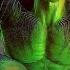 Bruce Transforms Into Evil Hulk Scene 4K ULTRA HD Marvel S Midnight Suns