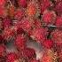 A Red Sea Of FRESH Rambutans From Hawaii Rambutan