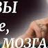 ПРОСТО ЗАПОМНИТЕ ЭТИ ПРАВИЛА СОВЕТЫ Великой Ученой Риты Леви Как Прожить Долгую Жизнь