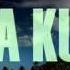 DANZA KUDURO REMIX DON OMAR