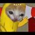 Smart Banana Cat I M Just A Cat Simon And The Astronauts