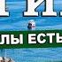 АКУЛЫ ЕГИПТА Какие акулы есть в Египте Отели с ограждениями в Хургаде и Шарм Эль Шейхе