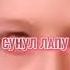 вышел заяц на крыльцо