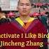 Jincheng Zhang Infuse I Like Birds Official Instrumental Background Music