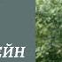Теория уровней построения движений по Н А Бернштейну
