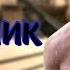 ОРУЩИЙ ШКОЛЬНИК CSGO МОНТАЖ