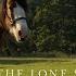 The Lone Stallion S Epic Battle For Freedom You Won T Believe What Happens