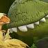 Going On A Jurassic Adventure Jurassic World Kids Adventure Show Dinosaur Cartoons