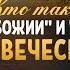 Кто такие сыны Божии и дочери человеческие Библия говорит 811