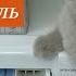 Зачем я стираю с солью Добавьте СОЛЬ во время стирки и ПОСМОТРИТЕ ЧТО ПРОИЗОЙДЕТ Секрет стирки