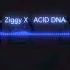 Ziggy X ACID DNA