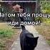 мемы смешные юмор статус мотивация цитаты