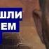 Чем ЦАХАЛ занят в Джебалии Гражданский археолог в Ливане что он там делал