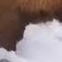 Salmon Unknowingly Leaps Right Into Bear S Mouth