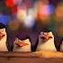 Pinguinos De Madagascar Descubre Shanghai Y Su Famosa Danza Irlandesa Shortsviral Shortsfeed