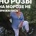 она любила розы