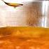 Kitchen Stock Liquid Gold Brown Stock Recipe