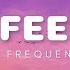 Lost Frequencies The Feeling Lyrics