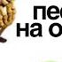 Музыкальное вскрытие Не Забывай из Тайна Коко
