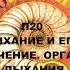 П20 ДЫХАНИЕ И ЕГО ЗНАЧЕНИЕ ОРГАНЫ ДЫХАНИЯ БИОЛОГИЯ 8 КЛАСС АУДИОУЧЕБНИК СЛУШАТЬ АУДИО ОНЛАЙН