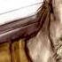Vinland Saga OP 2 FULL Dark Crow By MAN WITH A MISSION