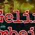 Gəlir Ərbəin Seyyid İbrahim Sadiq Kazimi YENİ 2023 HD