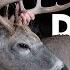 South Dakota Deer Hunting Redemption The Element